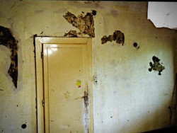 soboslikarstvo ljevakovic adaptacije (8)